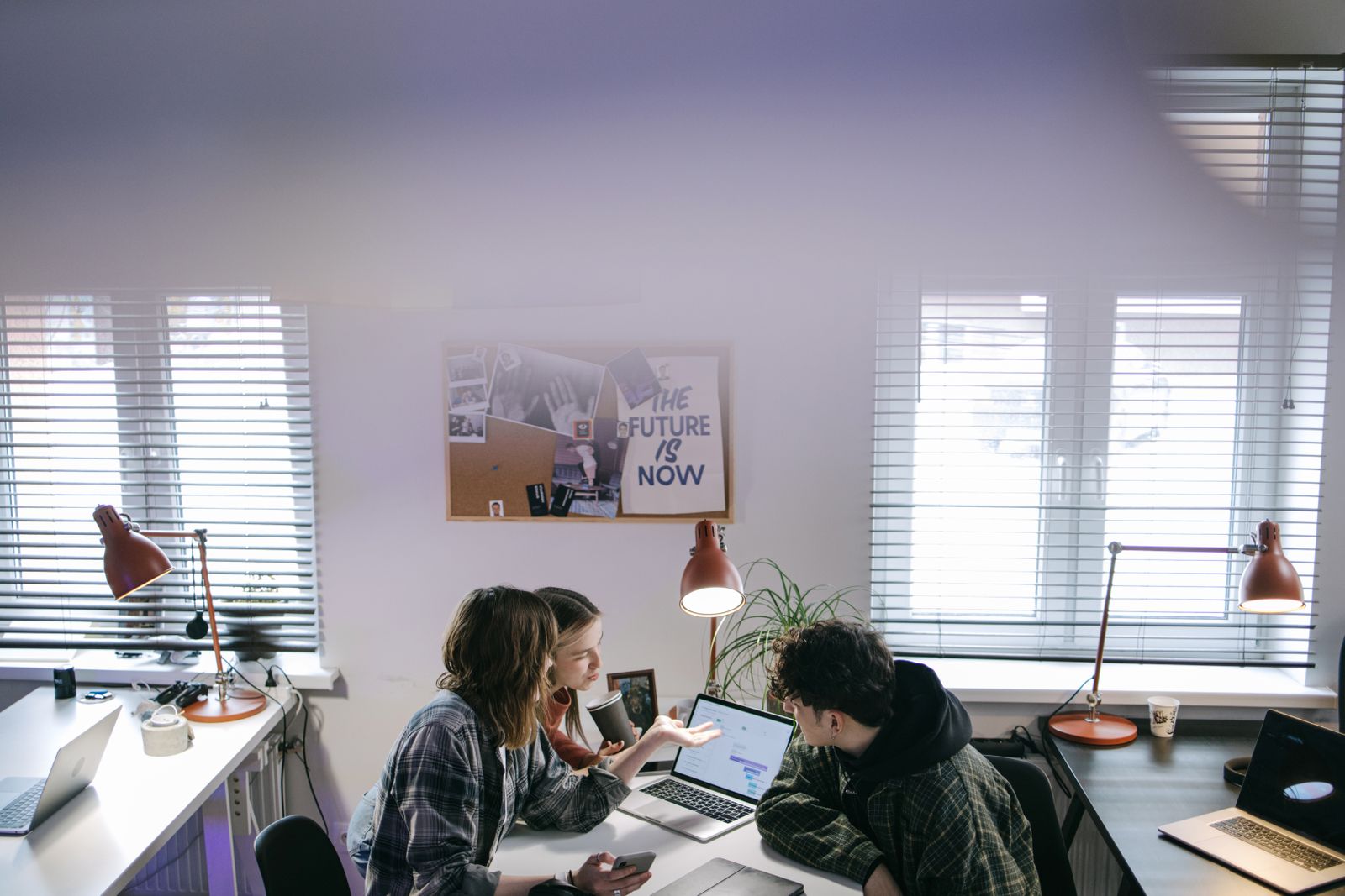 Colleagues working side by side on laptops at a long office table