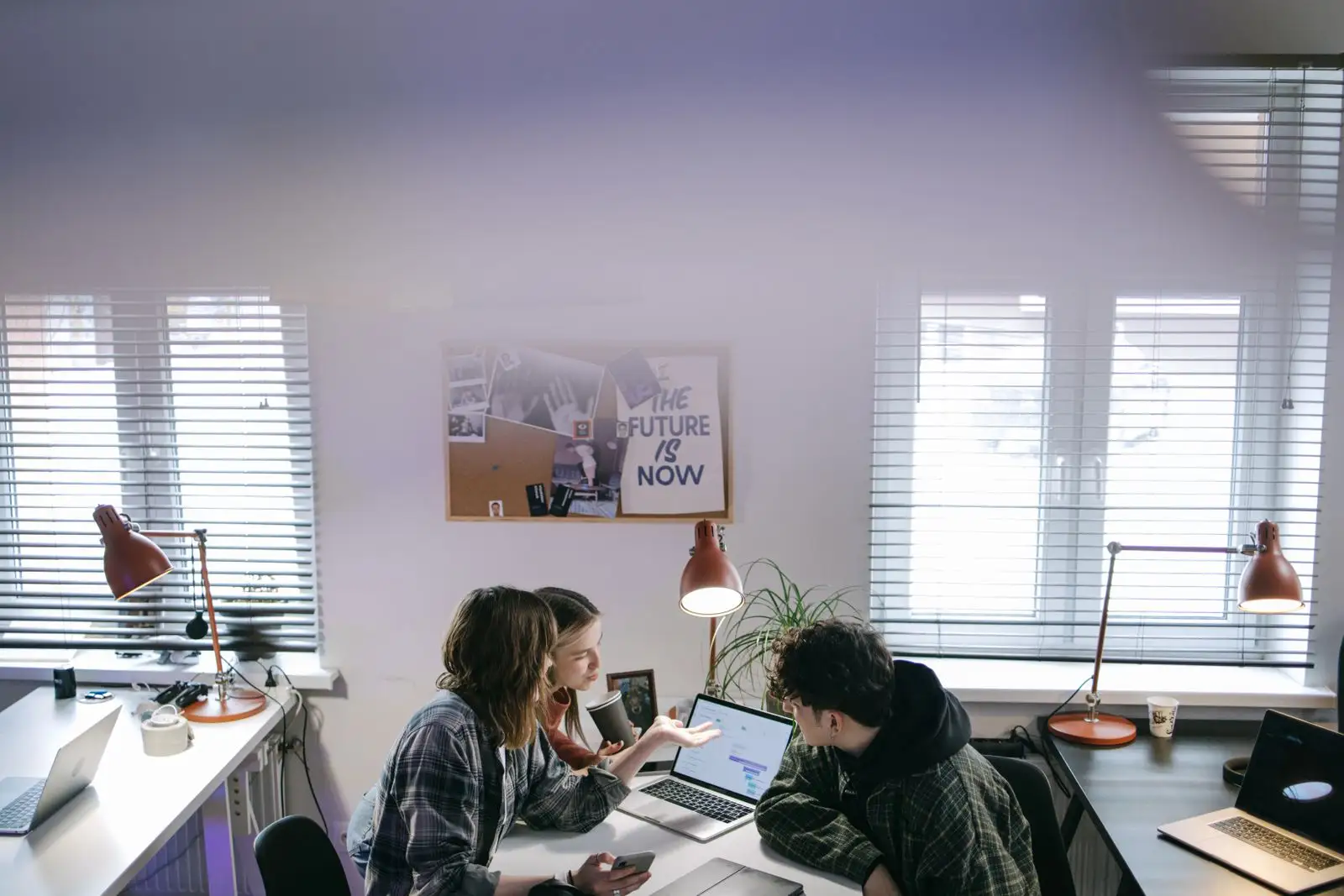 Colleagues working side by side on laptops at a long office table